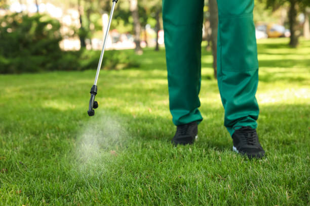 Best Best Pest Control Companies  in Burton, OH