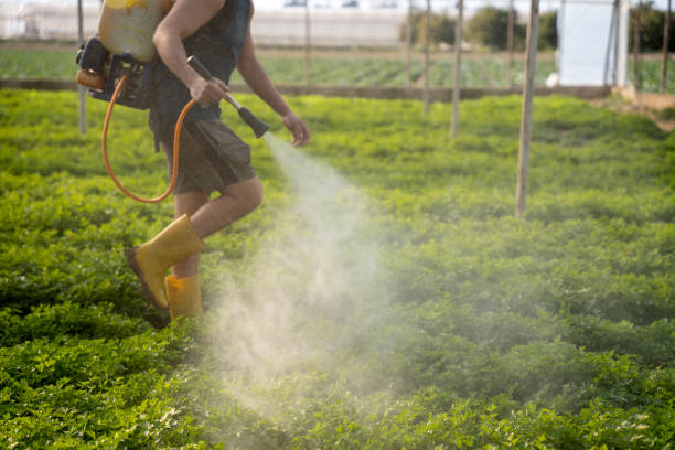 Professional Pest Control in Burton, OH