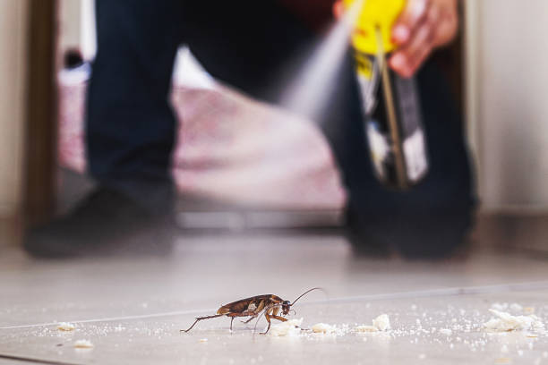 Best Pest Removal Services  in Burton, OH